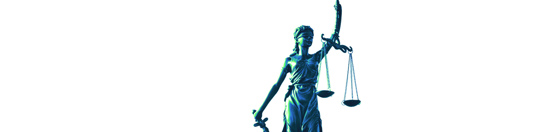 Litigation & Investigations