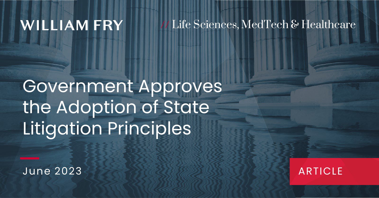 Government Approves the Adoption of State Litigation Principles