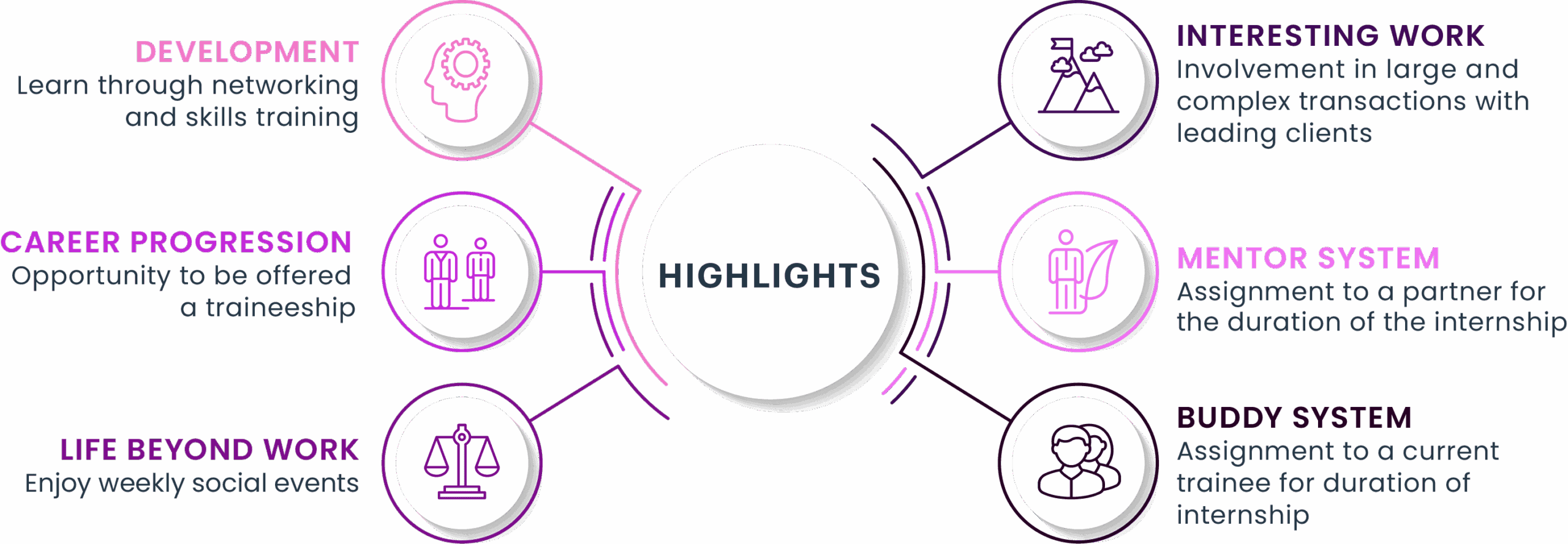 Summer Intern Highlights