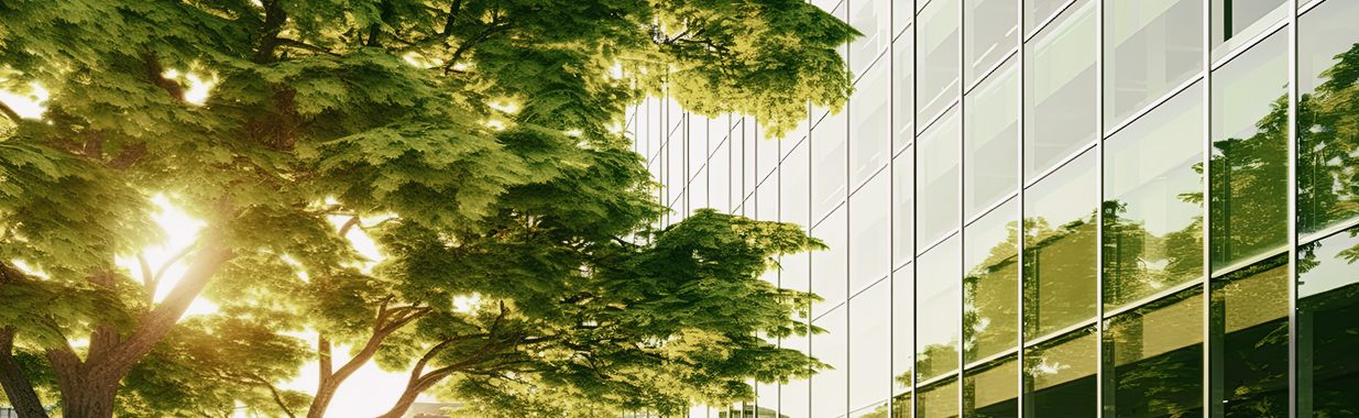 Private Sector’s Role in Financing the EU Green Deal
