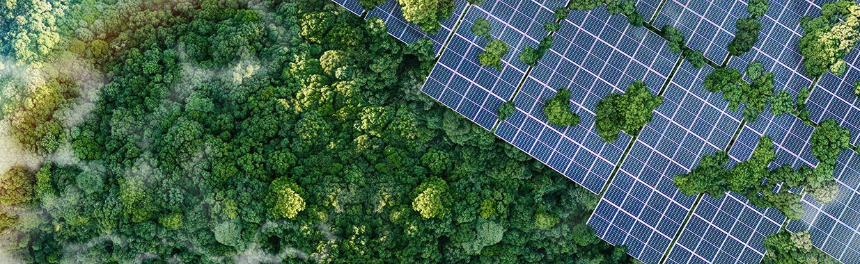 The European Green Bond Standard – a solution to harmonising green bond standards?