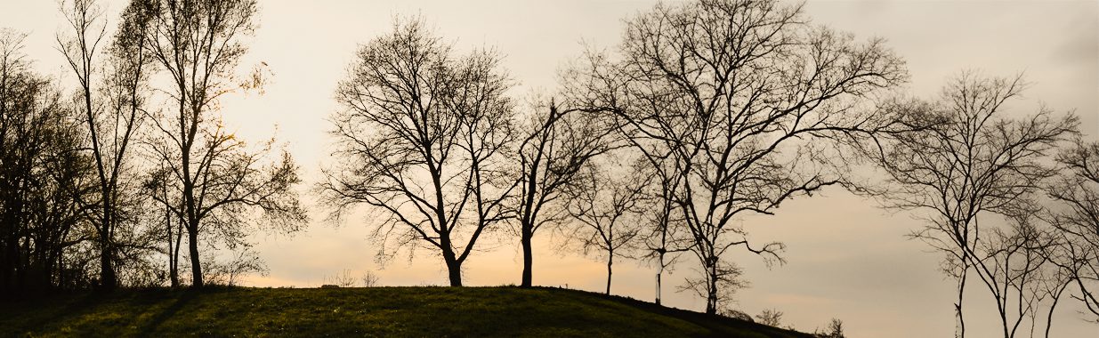 A Rising Tide: What FSPO Complaint Trends Mean for Pension Schemes