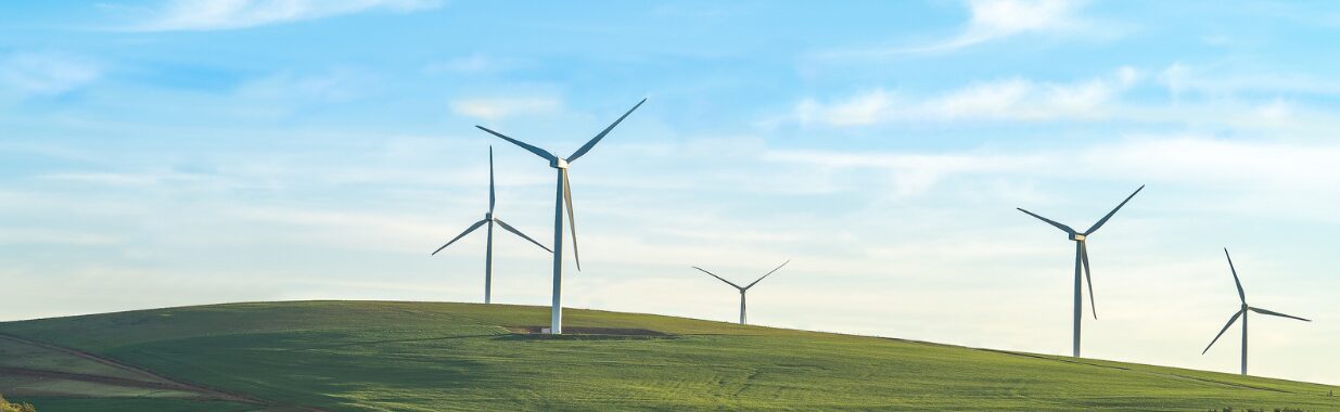 RESS 6: Two Auctions, Higher Stakes