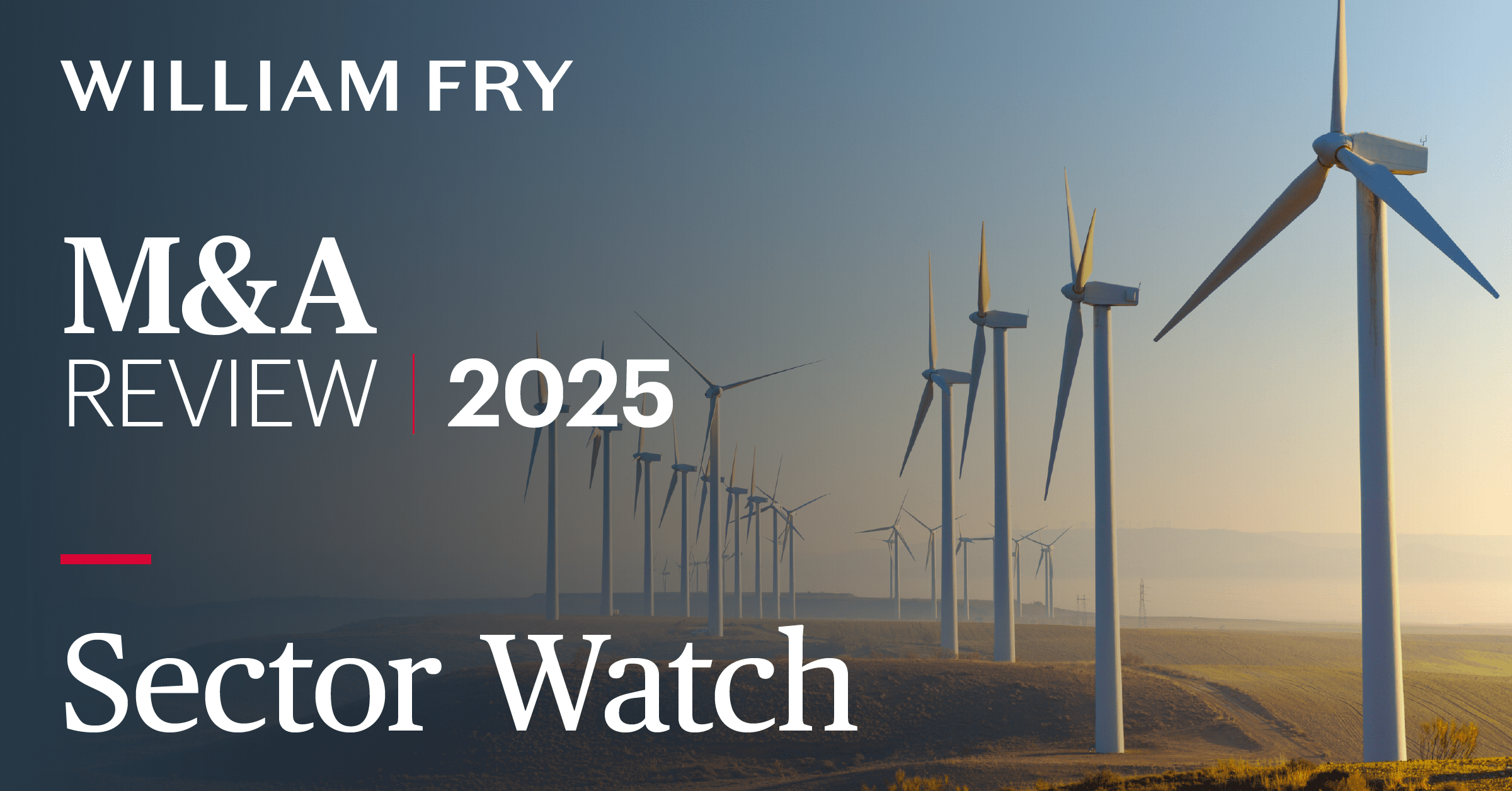Sector Watch: M&A Review 2025